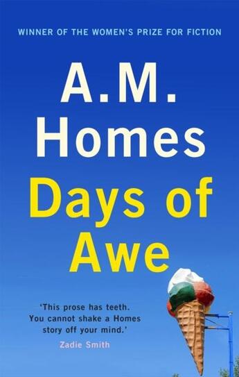 Couverture du livre « DAYS OF AWE - STORIES » de A. M. Homes aux éditions Granta Books