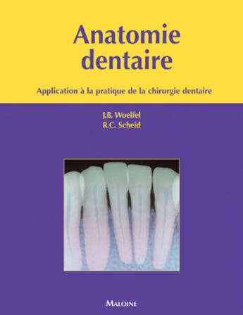 Couverture du livre « Anatomie dentaire ; application à la pratique de la chirurgie dentaire » de Scheid/Woelfel aux éditions Maloine