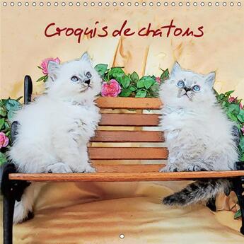 Couverture du livre « Croquis de chats dans le style » de S Ume Sylvia aux éditions Calvendo