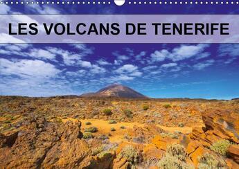 Couverture du livre « Volcans plantes et pins parsem » de Jean-Luc Bohin aux éditions Calvendo