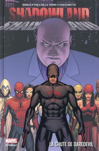 Couverture du livre « Shadowland ; la chute de Daredevil » de Anthony Johnston et Andy Diggle aux éditions Panini