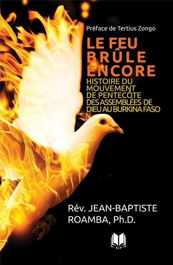 Couverture du livre « Le feu brûle encore » de Roamba Jean-Baptiste aux éditions Editions Inspiration