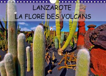 Couverture du livre « Lanzarote la flore des volcans calendrier mural 2020 din a4 horizontal - lanzarote des champs de lav » de Jean-Luc Bohin aux éditions Calvendo