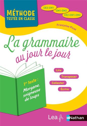 Couverture du livre « La grammaire au jour le jour ; CE2-CM1 ; CM1-CM2 ; CE2-CM1-CM2 ; programme 2016 (édition 2020) » de Francoise Picot aux éditions Nathan