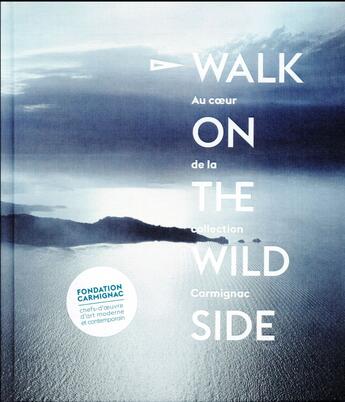 Couverture du livre « Walk on the wild side ; au coeur de la collection Carmignac » de Catherine Millet et Alexandro Jodorowsky et Luc Ferry et Nicolas Bourriaud et David Cronenberg et Camille Morineau aux éditions Skira Paris