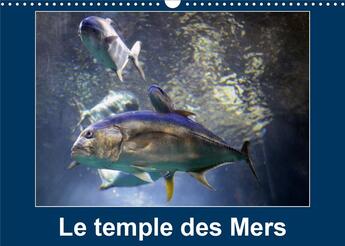 Couverture du livre « Le temple des mers calendrier mural 2020 din a3 horizontal - situe sur le rocher de monaco » de Hanel Photogr aux éditions Calvendo