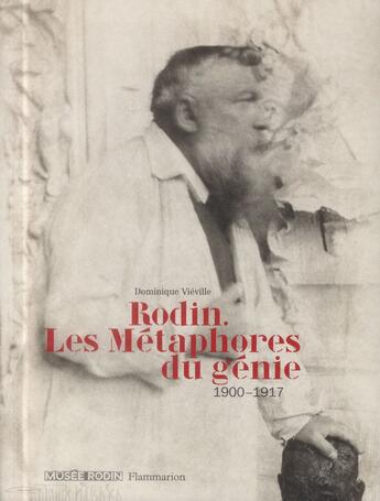 Couverture du livre « Rodin ; les métaphores du génie » de Dominique Vieville aux éditions Flammarion