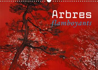 Couverture du livre « Arbres flamboyants (Calendrier mural 2020 DIN A3 horizontal) ; Peinture japonaise contemporaine (Calendrier mensuel, 14 Pages ) » de Lumi Mizutani aux éditions Calvendo