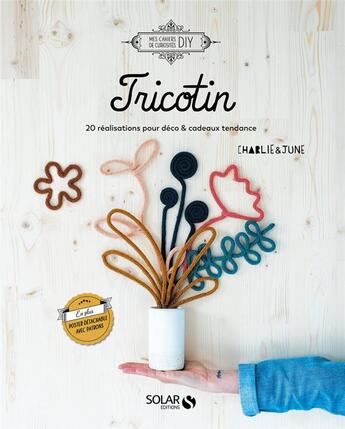 Couverture du livre « Tricotin » de Julie Picard aux éditions Solar