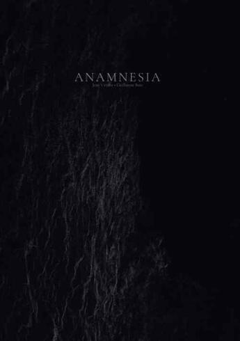 Couverture du livre « Anamnesia » de Jean Vicente aux éditions Publishroom Factory