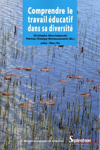 Couverture du livre « Comprendre le travail educatif dans sa diversite » de Niewiadomski Christo aux éditions Pu Du Septentrion