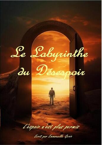 Couverture du livre « Le labyrinthe du désespoir » de Emmanuelle Genin aux éditions Thebookedition.com