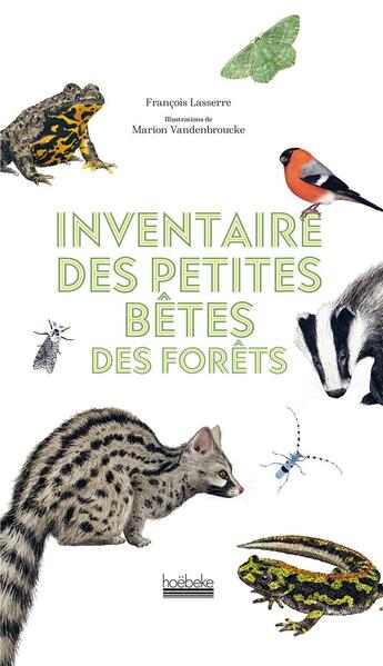 Couverture du livre « Inventaire des petites bêtes des forêts » de Francois Lasserre aux éditions Hoebeke