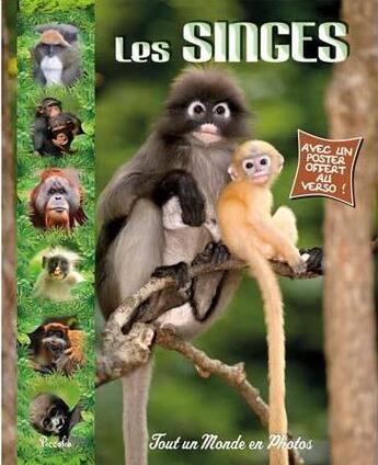 Couverture du livre « Tout un monde en photos ; les singes » de  aux éditions Piccolia