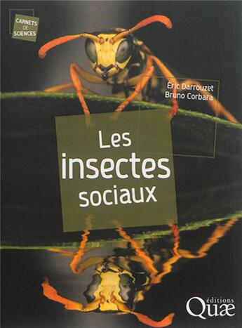 Couverture du livre « Les insectes sociaux » de Eric Darrouzet et Bruno Corbara aux éditions Quae