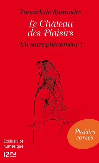 Couverture du livre « Le château des plaisirs ; un sacré phénomène ! » de Vonnick De Rosmadec aux éditions 12-21