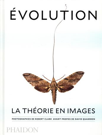 Couverture du livre « Évolution ; la théorie en images » de David Quammen et Joseph Wallace et Robert Clark aux éditions Phaidon