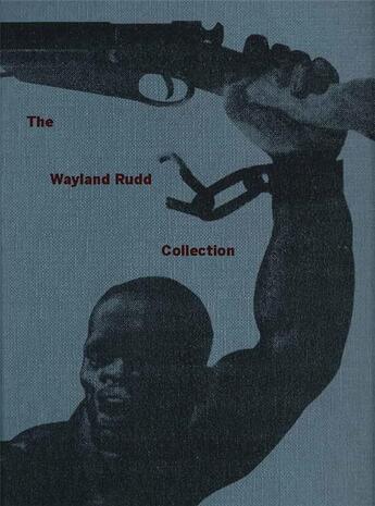 Couverture du livre « The wayland rudd collection » de Fiks Yevgeniy aux éditions Dap Artbook