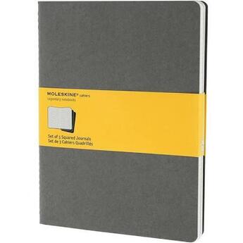 Couverture du livre « Cahier gris clair ; très grand format quadrillé » de Moleskine aux éditions Moleskine