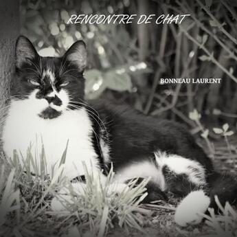 Couverture du livre « Rencontre de chat » de Laurent Bonneau aux éditions Lulu