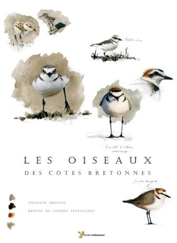 Couverture du livre « Les oiseaux des côtes bretonnes » de Sandra Lefrancois et Stephane Brousse aux éditions Yoran Embanner