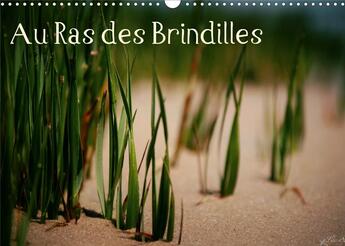 Couverture du livre « Au ras des brindilles calendrier mural 2020 din a3 horizontal - l objectif au milieu des herbe » de Sainto Loo aux éditions Calvendo