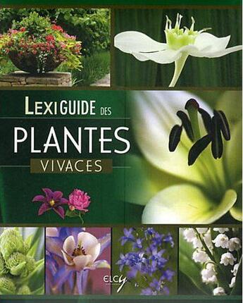 Couverture du livre « Lexiguide des plantes vivaces » de  aux éditions Elcy