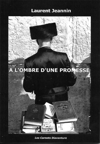 Couverture du livre « A L'OMBRE D'UNE PROMESSE » de Laurent Jeannin aux éditions Laurent Jeannin