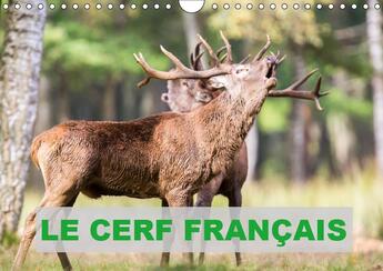 Couverture du livre « Photos de cerfs en france cale » de Edouard Bernasc aux éditions Calvendo