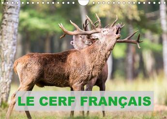 Couverture du livre « Le cerf francais calendrier mural 2020 din a4 horizontal - photos de cerfs en france cale (édition 2020) » de Edouard Bernasc aux éditions Calvendo