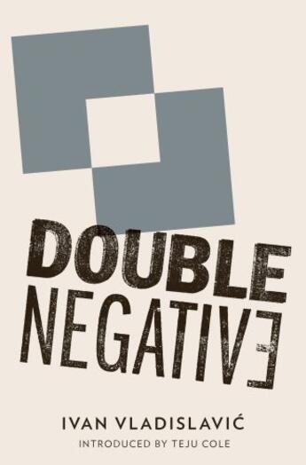 Couverture du livre « Double Negative » de Ivan Vladislavic aux éditions And Other Stories Publishing