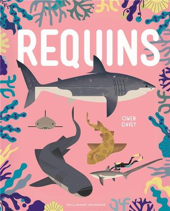 Couverture du livre « Requins » de Owen Davey aux éditions Gallimard-jeunesse