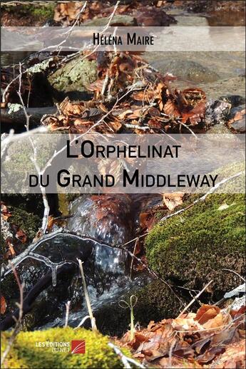 Couverture du livre « L'orphelinat du Grand Middleway » de Helena Maire aux éditions Editions Du Net