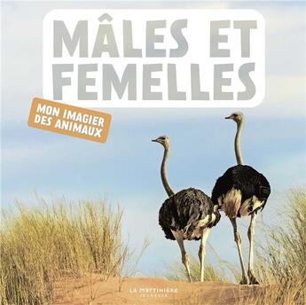 Couverture du livre « Males et femelles » de Naturagency aux éditions La Martiniere Jeunesse