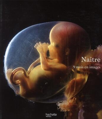 Couverture du livre « Naître ; 9 mois en images » de Hamberger-L+Nilsson- aux éditions Hachette Pratique