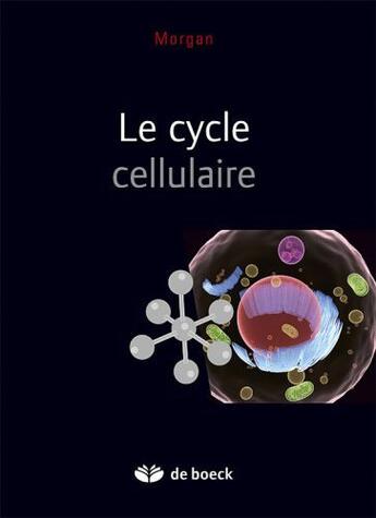 Couverture du livre « Le cycle cellulaire » de Morgan aux éditions De Boeck Superieur