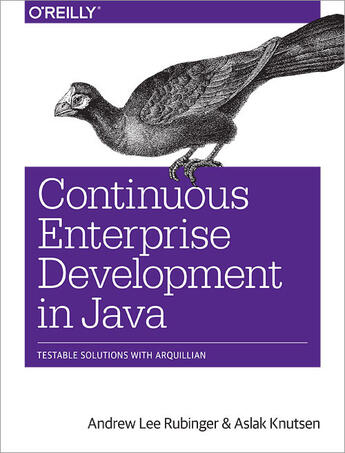 Couverture du livre « Continuous Enterprise Development in Java » de Andrew Lee Rubinger aux éditions O`reilly Media