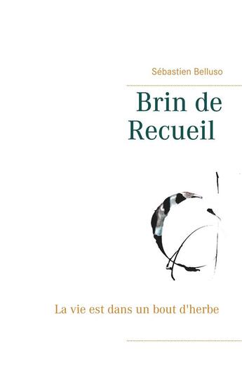 Couverture du livre « Brin de recueil ; la vie est dans un bout d'herbe » de Sébastien Belluso aux éditions Books On Demand