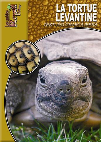 Couverture du livre « La tortue levantine » de Wenke Trommer aux éditions Animalia