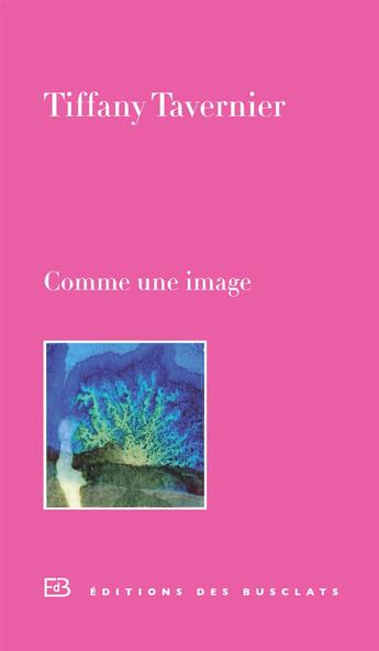 Couverture du livre « Comme une image » de Tiffany Tavernier aux éditions Des Busclats