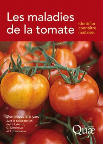 Couverture du livre « Les maladies de la tomate ; identifier,connaître, maîtriser » de Dominique Blancard aux éditions Quae