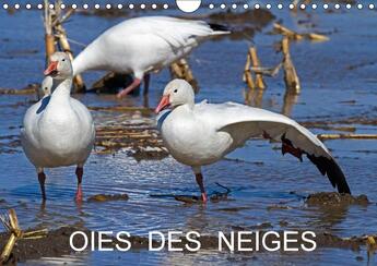 Couverture du livre « Oies des neiges calendrier mural 2018 din a4 horizontal - embleme du grand nord canadien » de Henry P aux éditions Calvendo