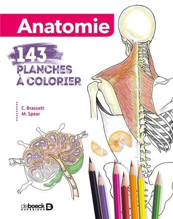 Couverture du livre « Anatomie ; 143 planches à colorier » de Cecilia Brassett et Michelle Spear aux éditions De Boeck Superieur