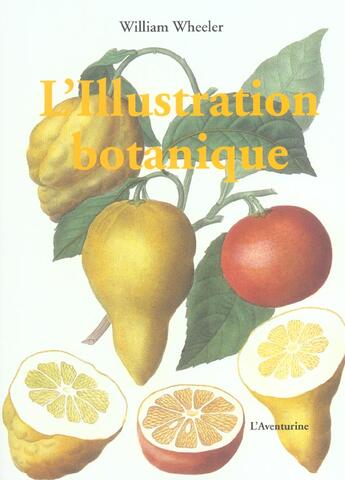 Couverture du livre « Illustration Botanique » de William Wheeler aux éditions Parangon