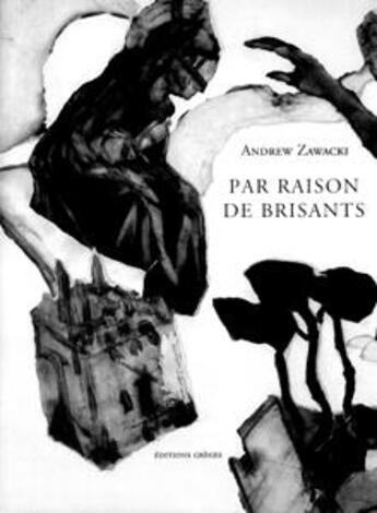 Couverture du livre « Par raison de brisants » de Andrew Zawacki aux éditions Greges