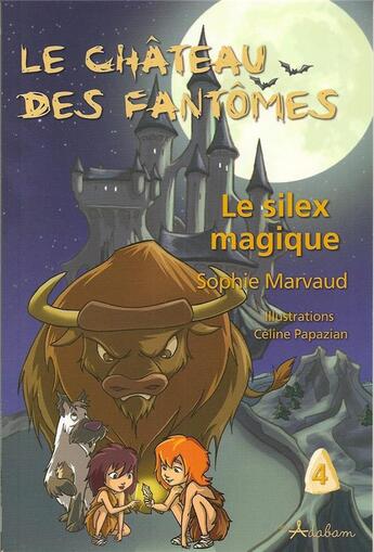 Couverture du livre « Le château des fantômes Tome 4 ; le silex magique » de Sophie Marvaud aux éditions Adabam