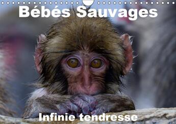 Couverture du livre « Bebes mamiferes dans leur envi » de Michel Hagege aux éditions Calvendo