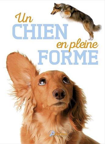 Couverture du livre « Un chien en pleine forme » de Annabelle Loth et Alexandre Balzer aux éditions Artemis