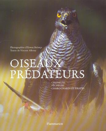 Couverture du livre « Oiseaux Predateurs » de Vincent Albouy et Erwan Balanca aux éditions Flammarion