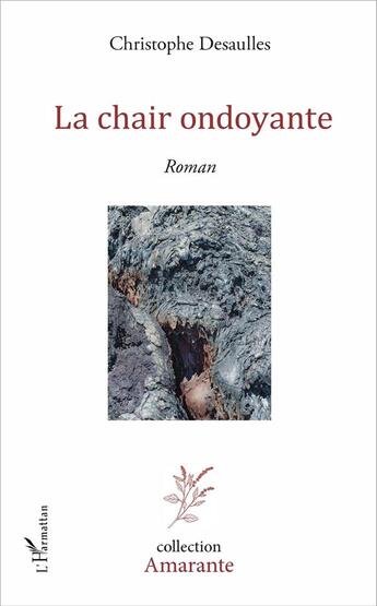 Couverture du livre « La chair ondoyante » de Christophe Desaulles aux éditions L'harmattan